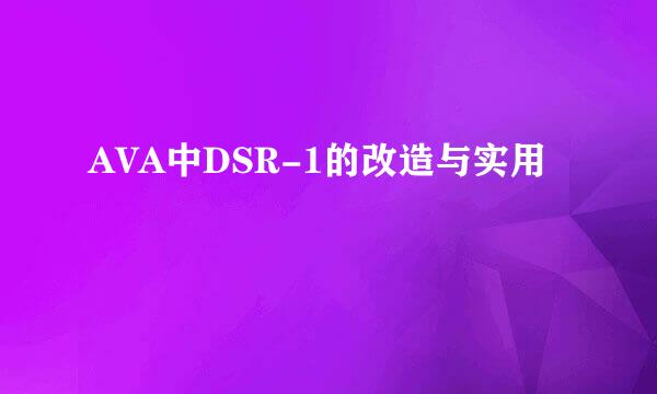 AVA中DSR-1的改造与实用