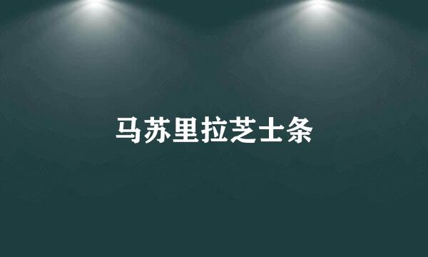马苏里拉芝士条