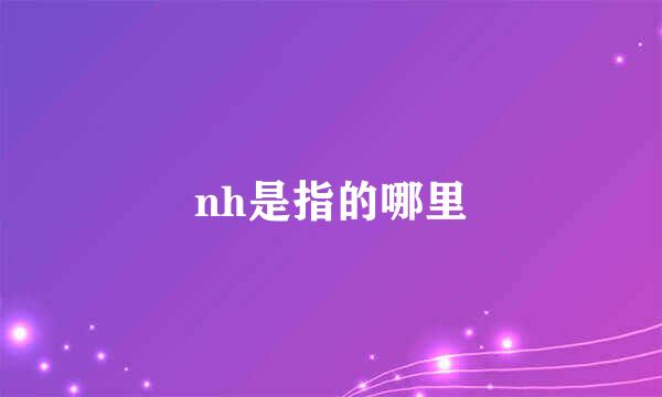 nh是指的哪里