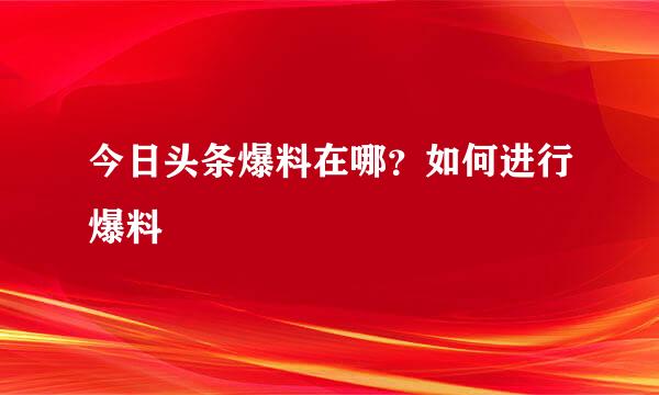 今日头条爆料在哪？如何进行爆料