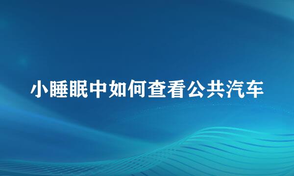 小睡眠中如何查看公共汽车
