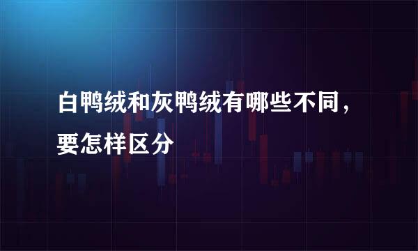白鸭绒和灰鸭绒有哪些不同，要怎样区分