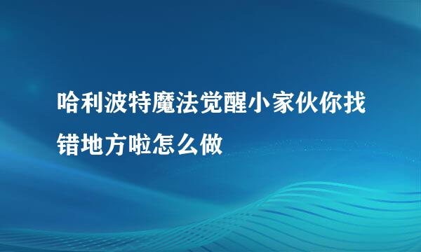 哈利波特魔法觉醒小家伙你找错地方啦怎么做