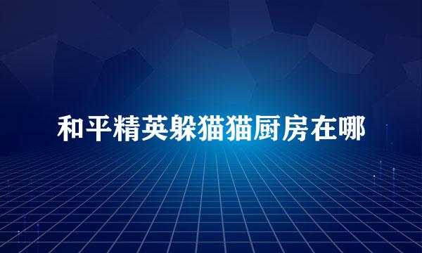 和平精英躲猫猫厨房在哪