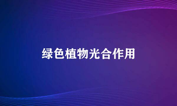 绿色植物光合作用