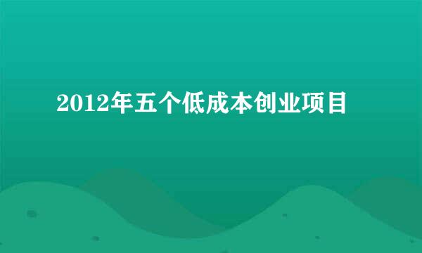 2012年五个低成本创业项目