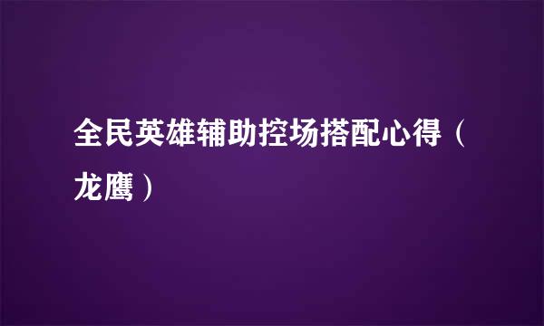 全民英雄辅助控场搭配心得（龙鹰）
