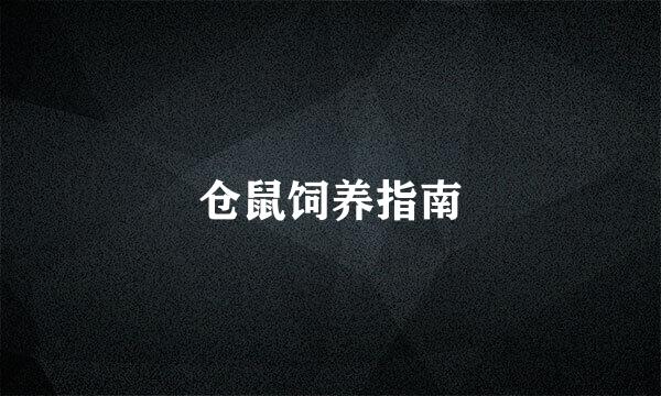 仓鼠饲养指南