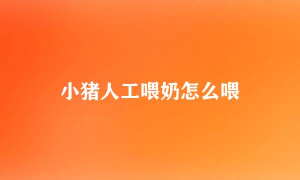 小猪人工喂奶怎么喂
