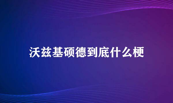 沃兹基硕德到底什么梗