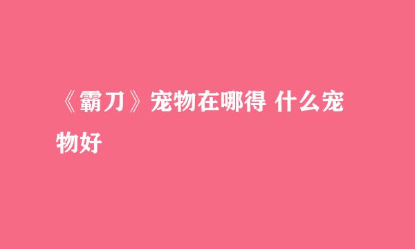 《霸刀》宠物在哪得 什么宠物好
