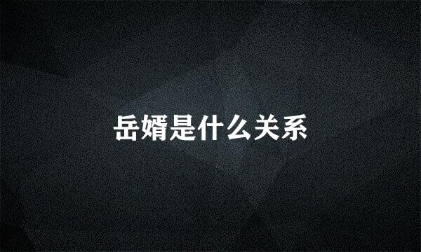 岳婿是什么关系