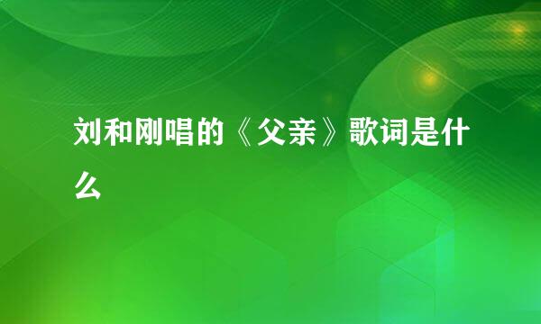 刘和刚唱的《父亲》歌词是什么
