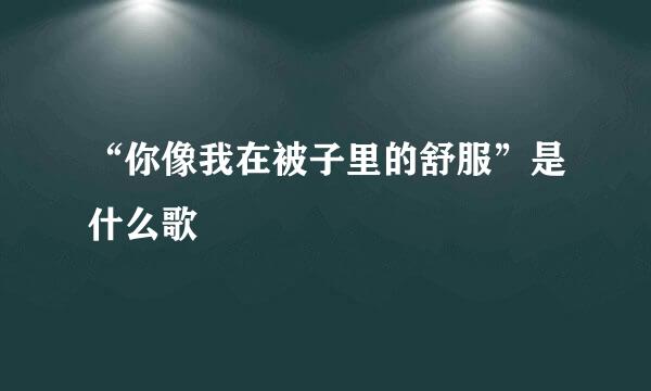 “你像我在被子里的舒服”是什么歌