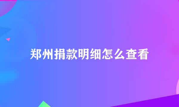 郑州捐款明细怎么查看