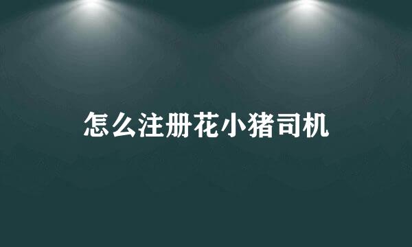 怎么注册花小猪司机