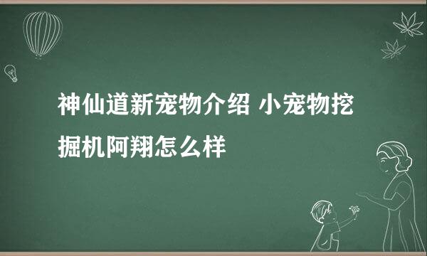 神仙道新宠物介绍 小宠物挖掘机阿翔怎么样