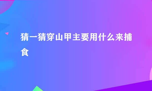 猜一猜穿山甲主要用什么来捕食