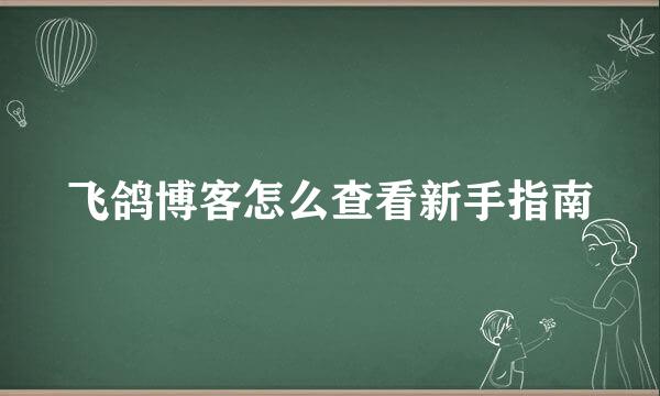 飞鸽博客怎么查看新手指南