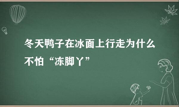 冬天鸭子在冰面上行走为什么不怕“冻脚丫”