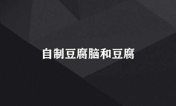 自制豆腐脑和豆腐