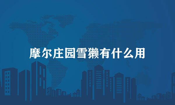 摩尔庄园雪獭有什么用
