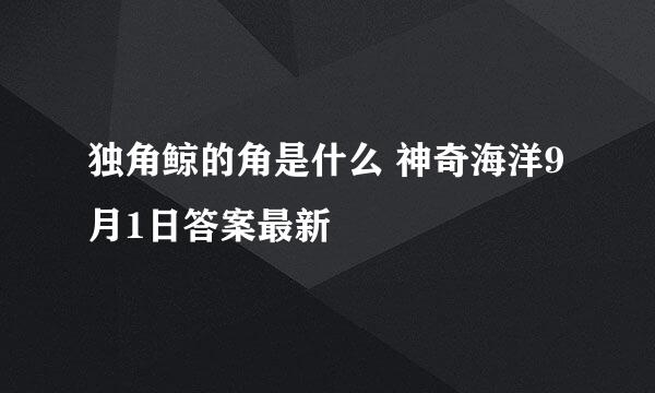 独角鲸的角是什么 神奇海洋9月1日答案最新