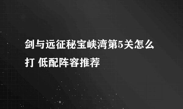 剑与远征秘宝峡湾第5关怎么打 低配阵容推荐