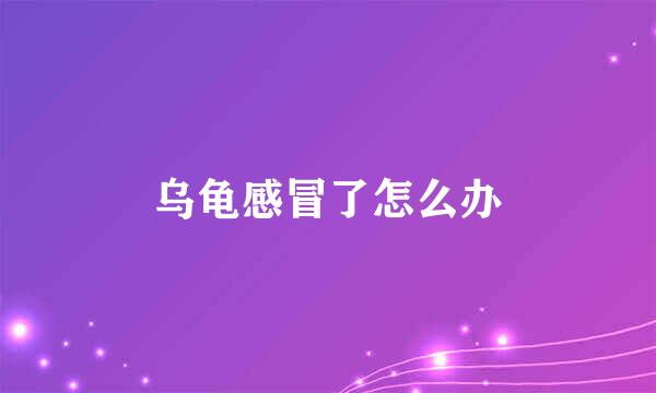 乌龟感冒了怎么办