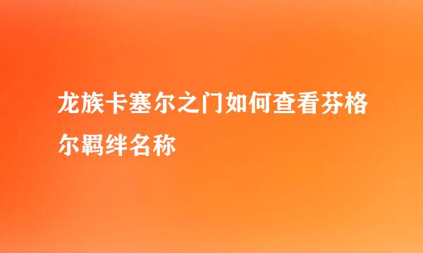 龙族卡塞尔之门如何查看芬格尔羁绊名称