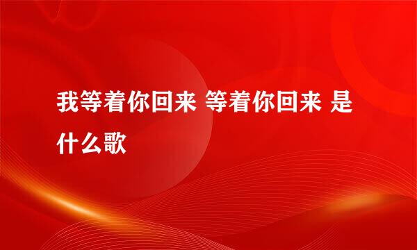 我等着你回来 等着你回来 是什么歌