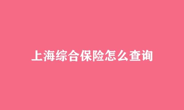 上海综合保险怎么查询