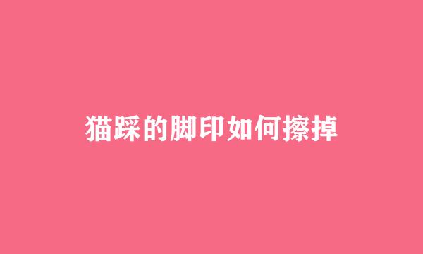 猫踩的脚印如何擦掉