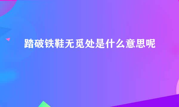 踏破铁鞋无觅处是什么意思呢