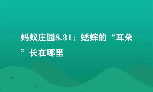 蚂蚁庄园8.31：蟋蟀的“耳朵”长在哪里