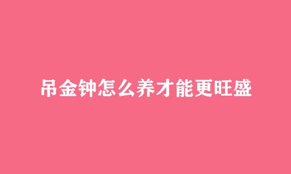 吊金钟怎么养才能更旺盛