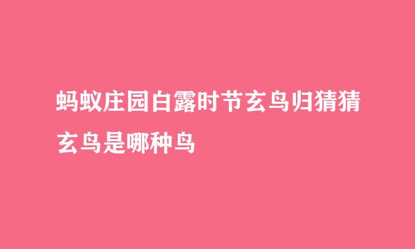 蚂蚁庄园白露时节玄鸟归猜猜玄鸟是哪种鸟