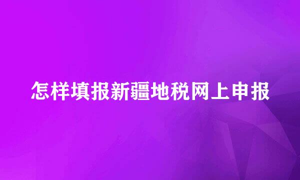 怎样填报新疆地税网上申报