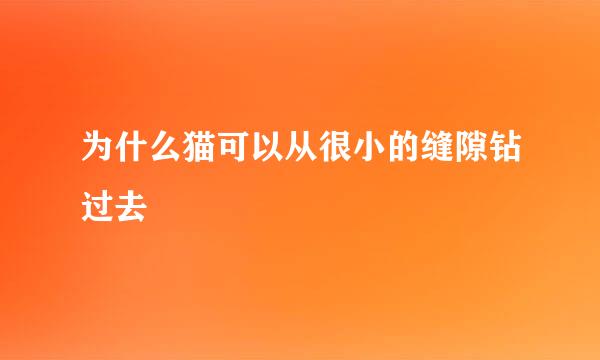 为什么猫可以从很小的缝隙钻过去