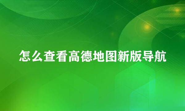 怎么查看高德地图新版导航
