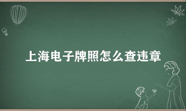 上海电子牌照怎么查违章