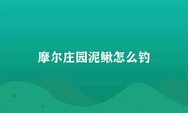 摩尔庄园泥鳅怎么钓
