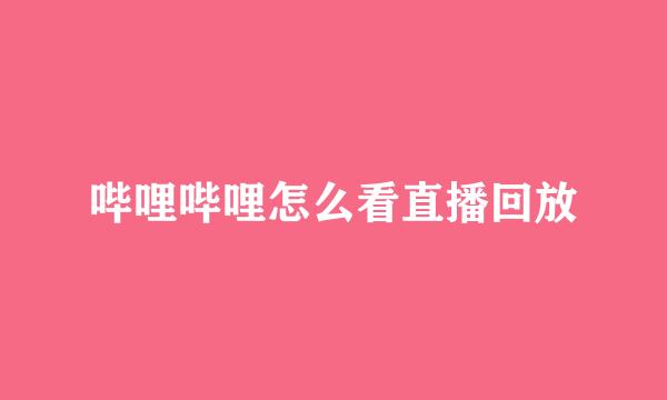 哔哩哔哩怎么看直播回放