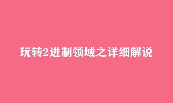 玩转2进制领域之详细解说