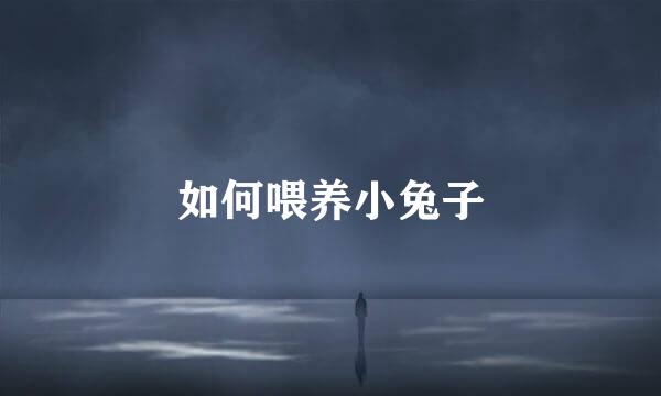 如何喂养小兔子