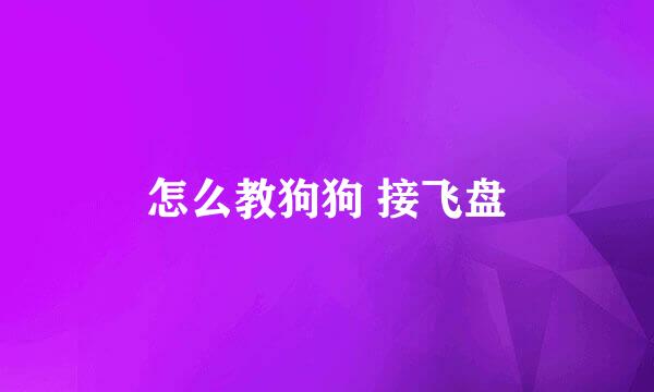 怎么教狗狗 接飞盘