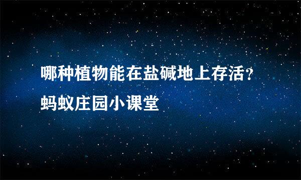 哪种植物能在盐碱地上存活？蚂蚁庄园小课堂