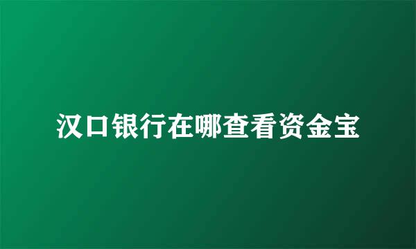 汉口银行在哪查看资金宝