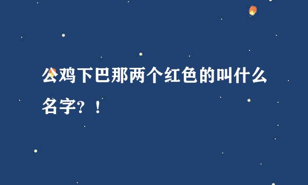 公鸡下巴那两个红色的叫什么名字？！