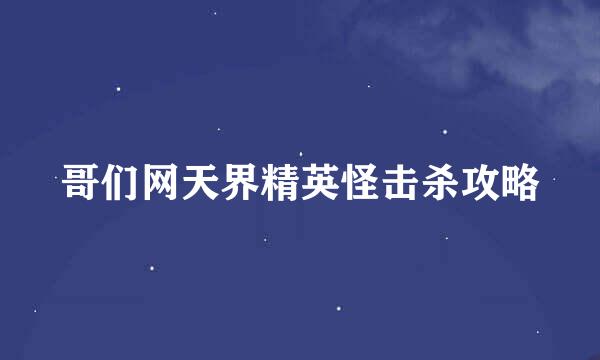 哥们网天界精英怪击杀攻略